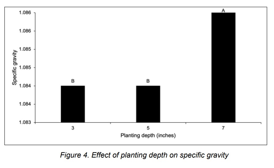 Potato ag figure 4.jpg